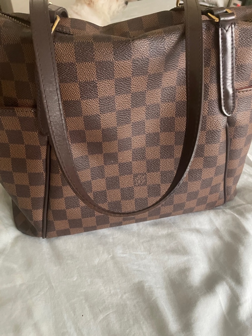 Louis Vuitton Brown Damier Ebene Tote